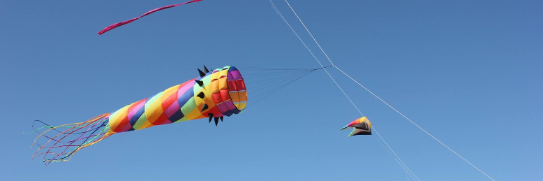 Cover image for post Kites at the Beach, by sandflea68