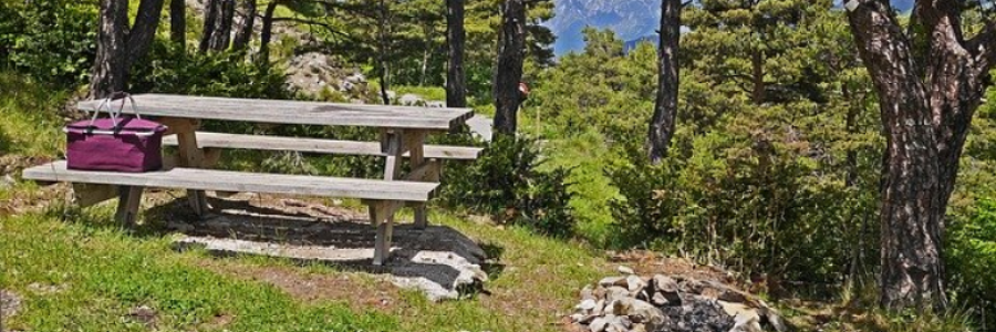 Cover image for post Family Reunion, by ToriSmith