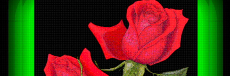 Cover image for post Roses For Christmas, by DonGreywolfFord