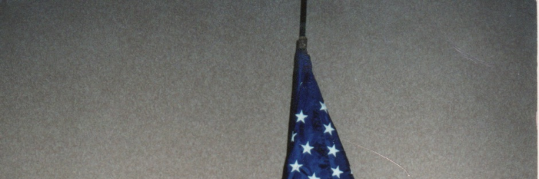 Cover image for post Colonel Father Dear, by Lynnkindler