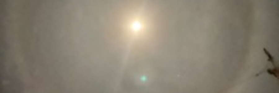 Cover image for post Swallow Me, by sandflea68