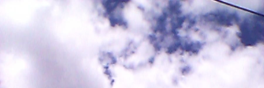 Cover image for post WHIM, by Hiatus