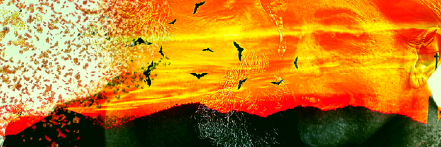 Cover image for post Tilt me, by Tuskntale