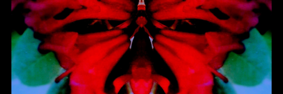 Cover image for post election night foresight, by Tuskntale