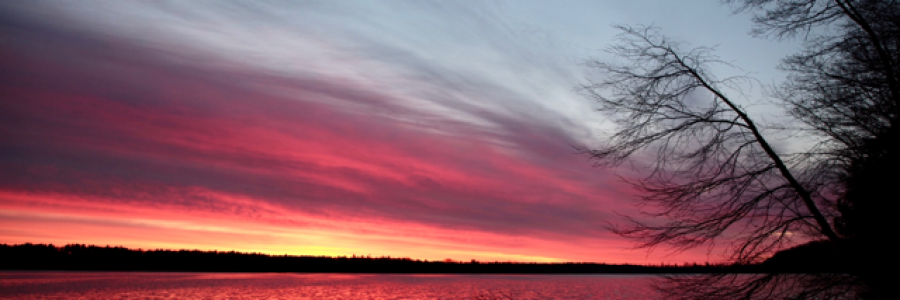 Cover image for post Phantom, by Taliesin