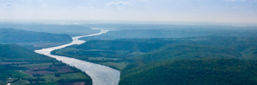 Cover image for post If I Could Say Goodbye, by write_forhope