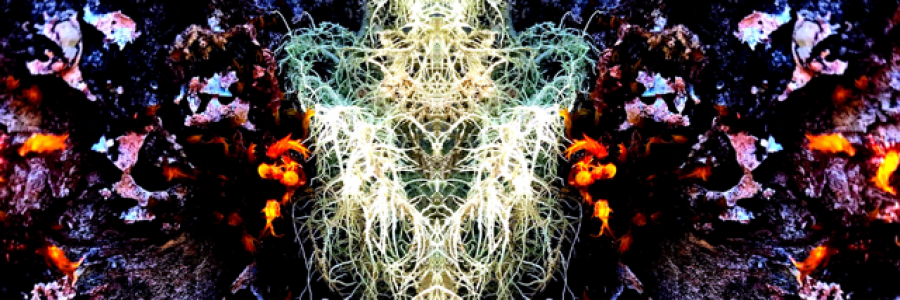 Cover image for post Untitled, by Tuskntale