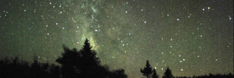 Cover image for post forgotten clusters of us, by anarosewood