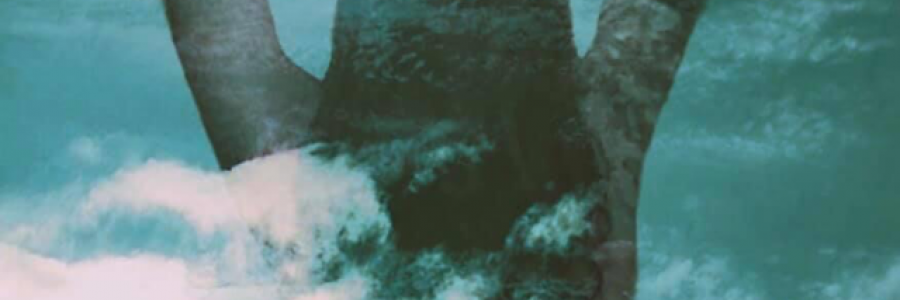 Cover image for post pity party, by Tuskntale