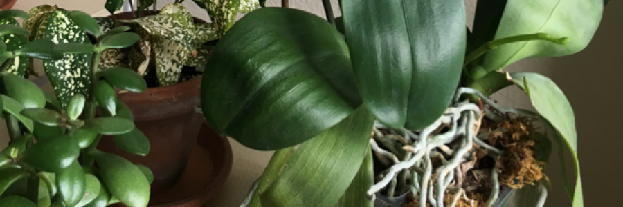 Cover image for post Untitled, by Hlore42