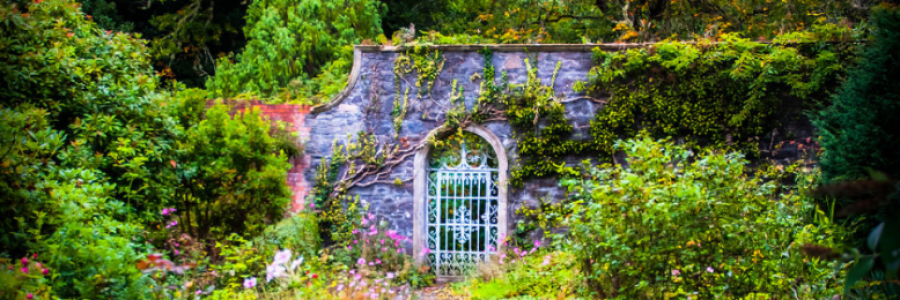 Cover image for post Arden, by eMan