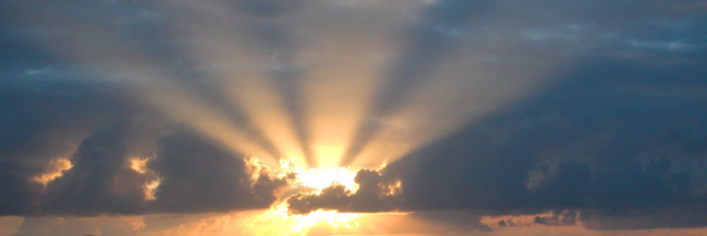 Cover image for post Untitled, by StellarBee