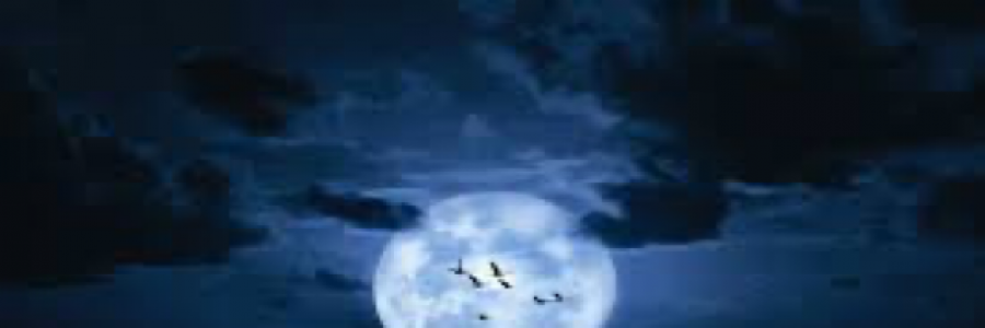 Cover image for post Little Midnight, by Amber16