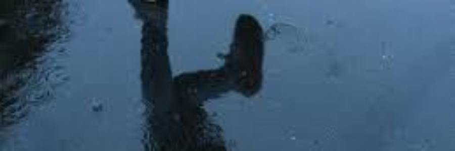 Cover image for post Petrichor, by the_contranym