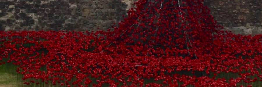 Cover image for post How do we go on?, by Jasper