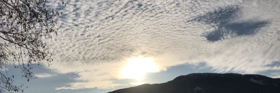 Cover image for post been afraid of changing because, by Tuskntale