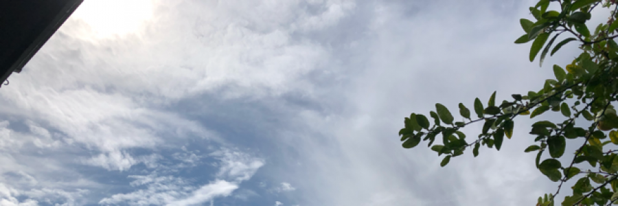 Cover image for post A New Perspective, by CaroleTPoland