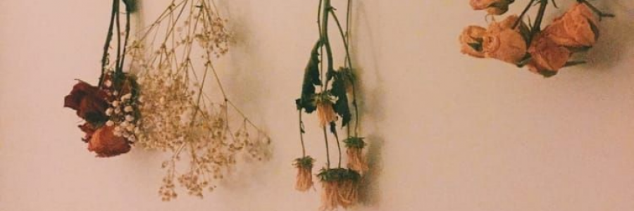 Cover image for post a Martyr's memoir, by FiaA