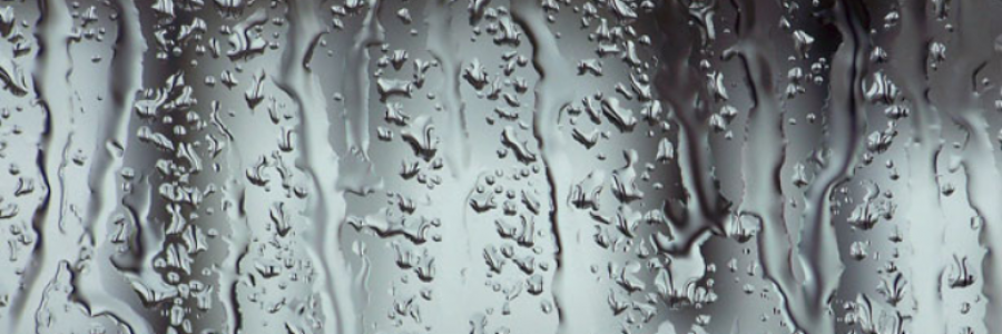 Cover image for post ... and so it goes, by Danceinsilence