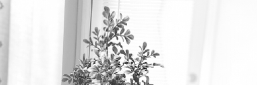 Cover image for post Blow me Away, by FANTASYENTITLED