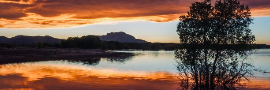 Cover image for post Facing
The Gravity of Death
(Bitter-Sweet), by Mazzmyrrheyes