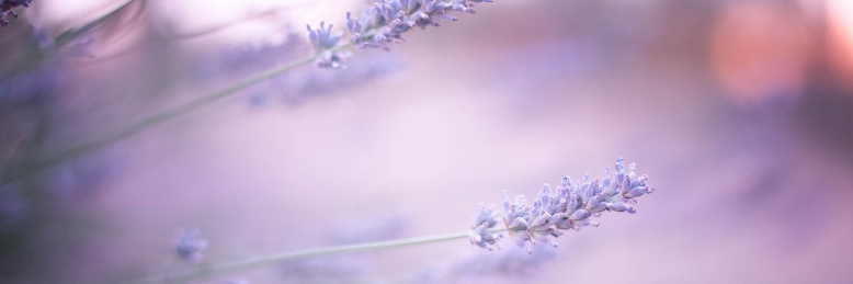 Cover image for post Goodbye, by EBJohnson