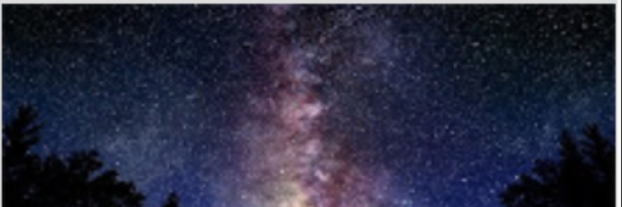 Cover image for post Orbis, by winnielim