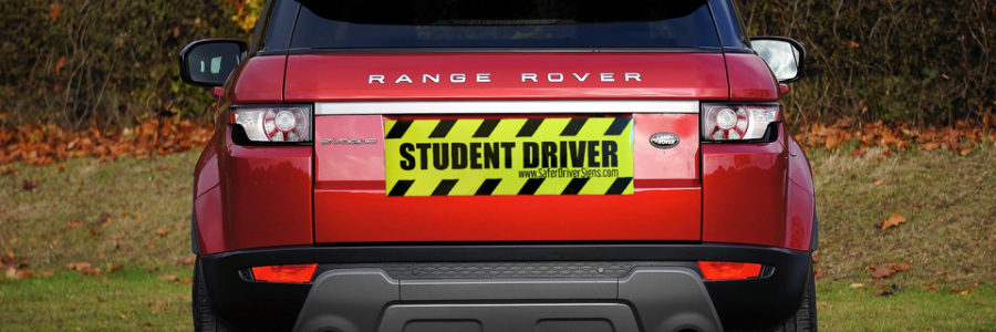 Cover image for post Homeschool Bop, by VT_Poetess