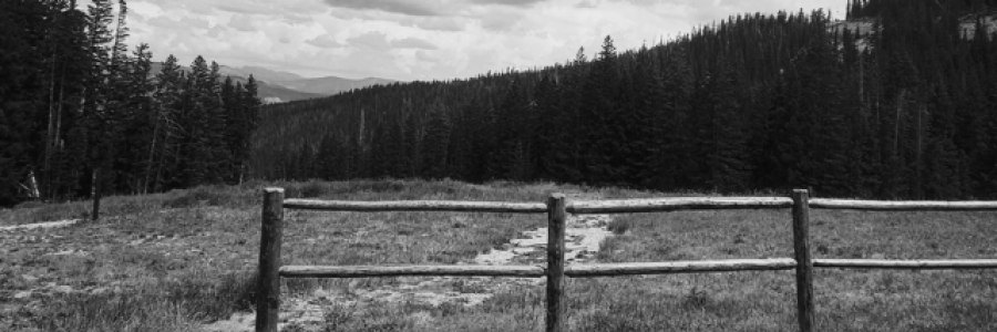 Cover image for post Deception, by Adoring