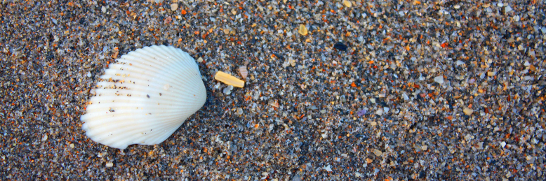 Cover image for post Broken Pieces, by TheRaven6825