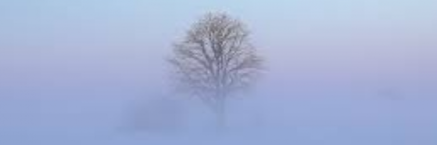 Cover image for post Mental Absence, by Chanae