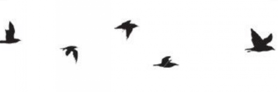 Cover image for post 021206, by blurredsenses