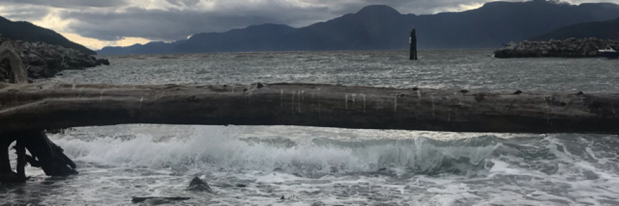 Cover image for post Ocean Sway (first Prose post), by Tuskntale