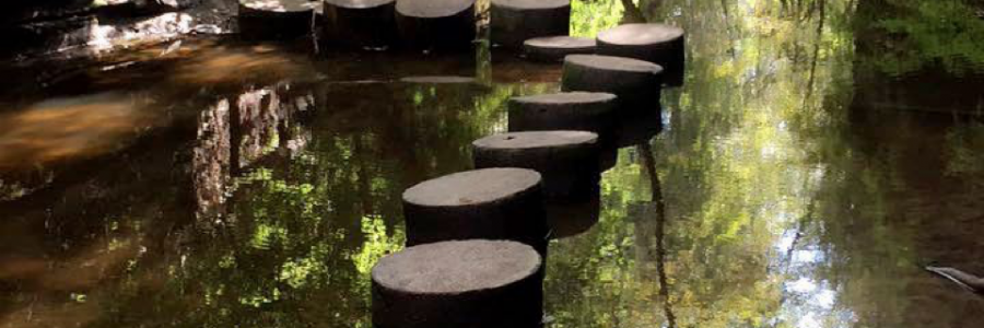 Cover image for post Cycles, by TayGreen