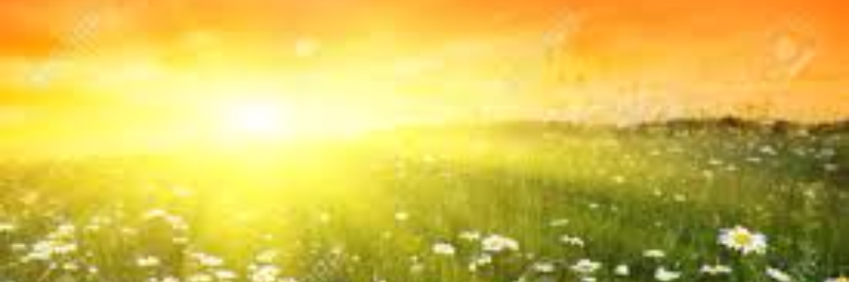 Cover image for post He Watched her in her Deepest Sleep, by wordSwork