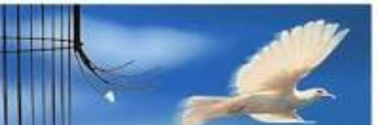 Cover image for post Freedom, by bgjsl33thor