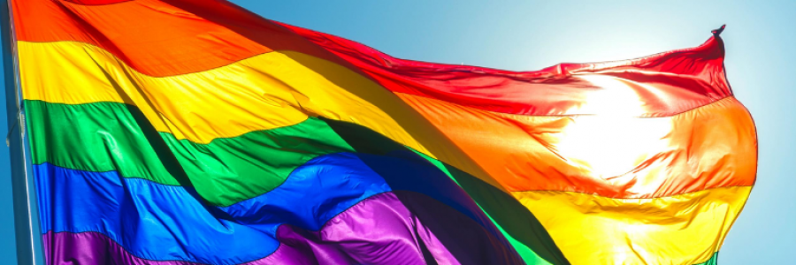 Cover image for post How Much Longer?, by CatCrazy0430