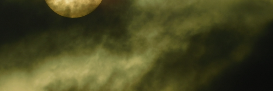 Cover image for post Treachery, by LexiCon