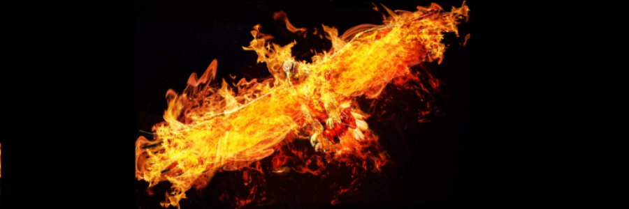 Cover image for post My Home Is Burning (I wish it were fiction), by JaredHammer