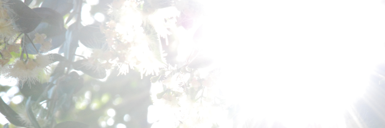 Cover image for post Overexposed, by Z