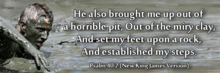 Cover image for post The Book Everyone Should Read? The Bible, by JimLamb