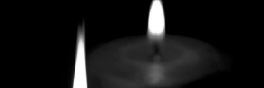 Cover image for post REBIRTH, by Mnezz