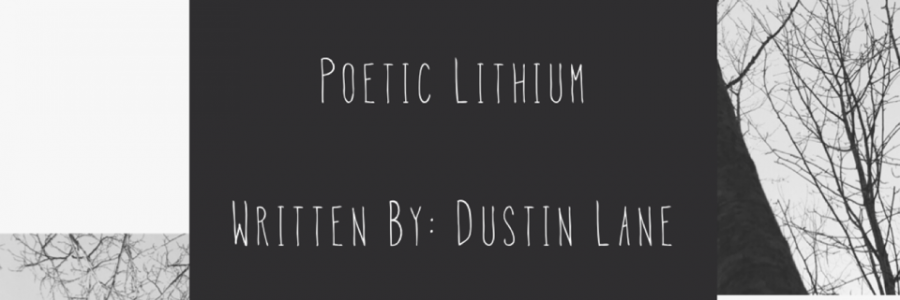 Cover image for post SoulMate, by PoeticLithium