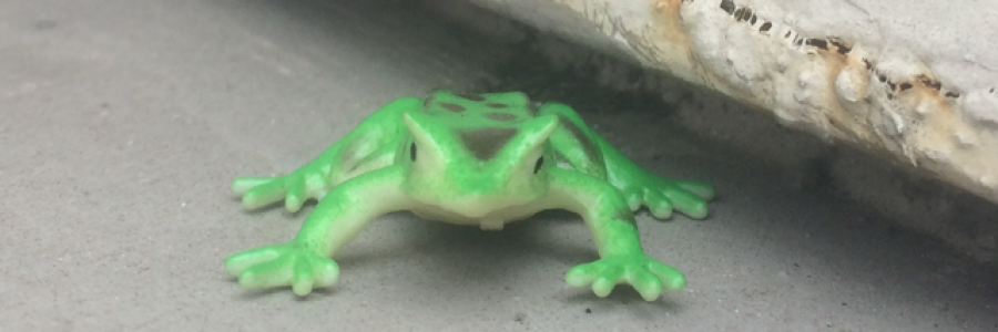 Cover image for post Lost Frog, by Beth