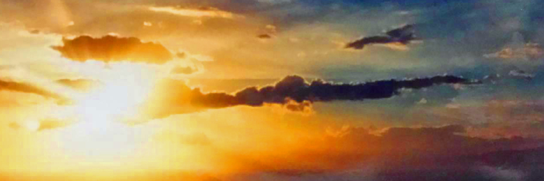 Cover image for post Wings, by TheRaven6825