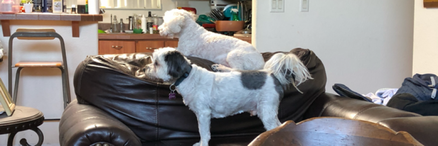 Cover image for post What Makes Me Smile, by CaroleTPoland