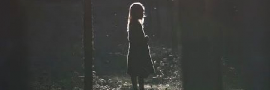 Cover image for post We could be heroes, by Whisper