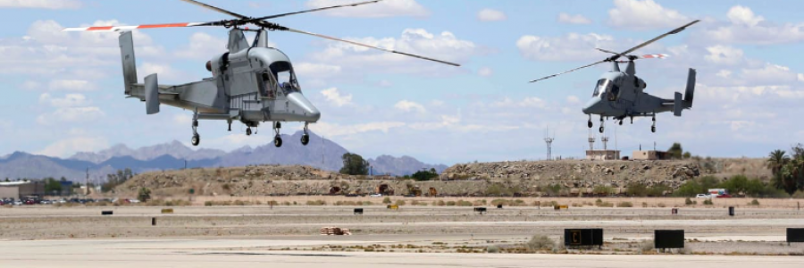 Cover image for post FREE, by rosevalkyrie