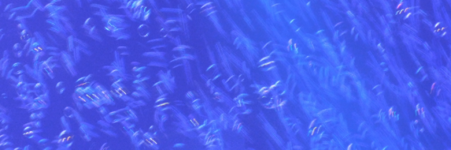 Cover image for post A Fish Out Of Water, by LexiCon