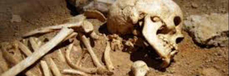 Cover image for post I Think I'm a Natural, by sandflea68